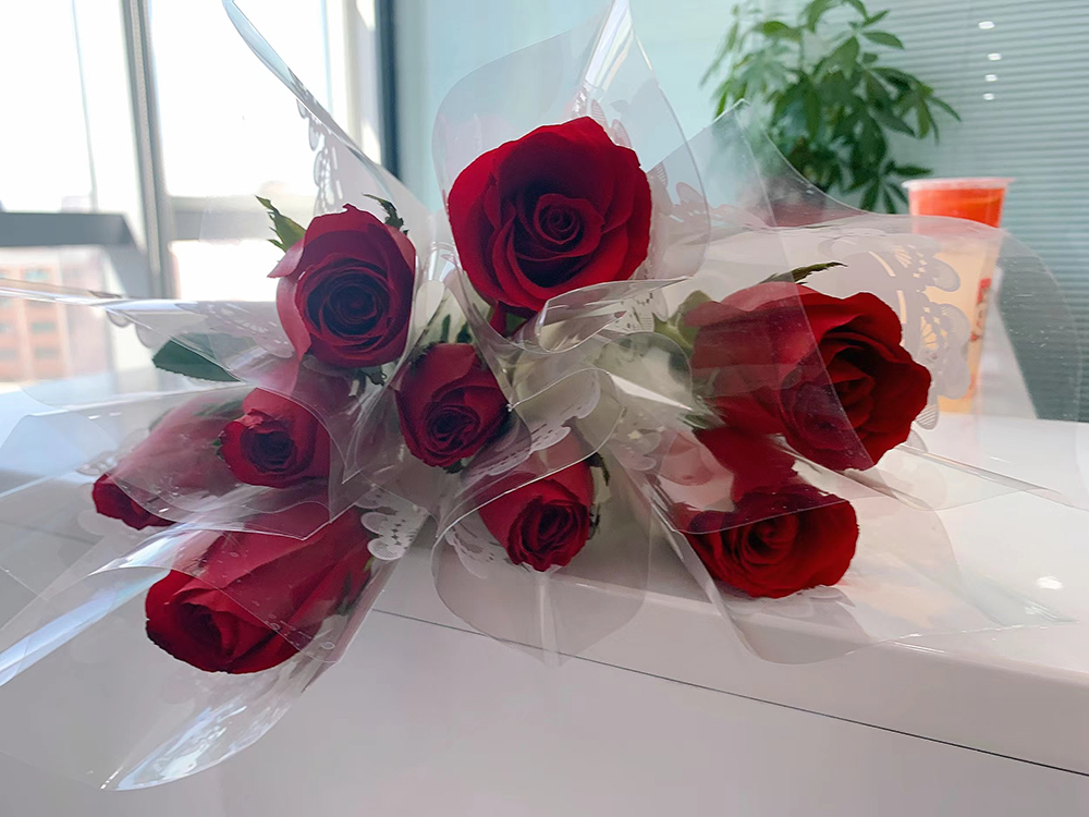 星亿共庆38女神节(图3) 星亿共庆38女神节(图3)